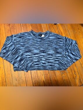 Blue Blush Blue and Black Space-Dye Knit Sweater